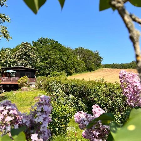 Ferienhaus Zittertal Neustadt Harz Haus I Villa Harztor Kültér fotó