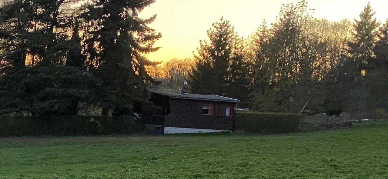 Ferienhaus Zittertal Neustadt Harz Haus I Villa Harztor Kültér fotó