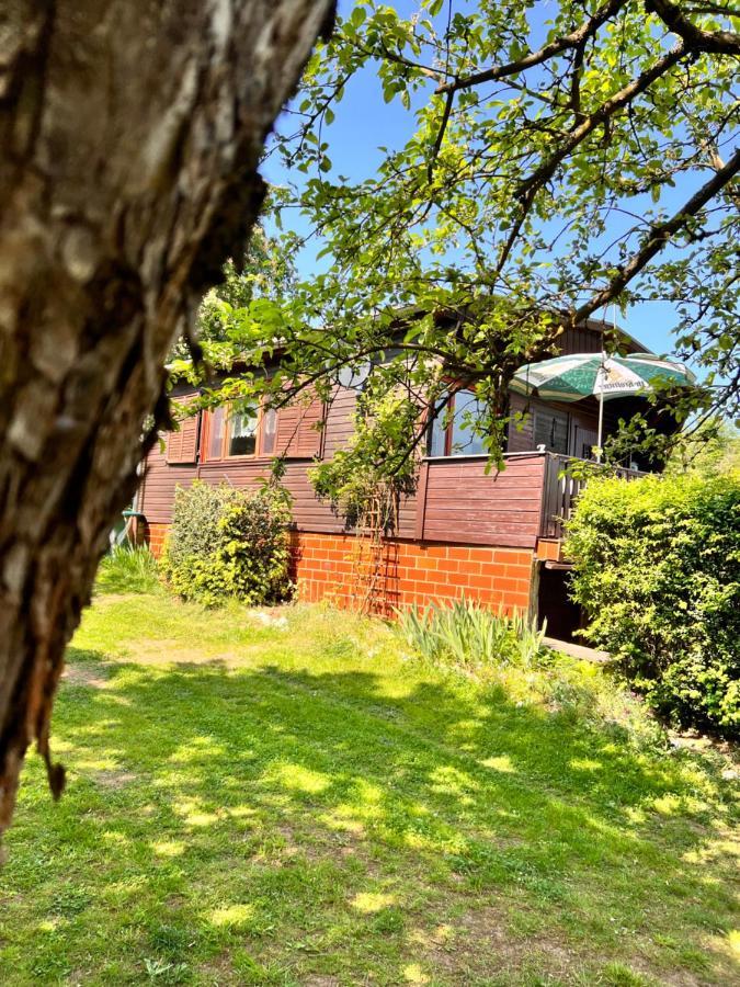 Ferienhaus Zittertal Neustadt Harz Haus I Villa Harztor Kültér fotó