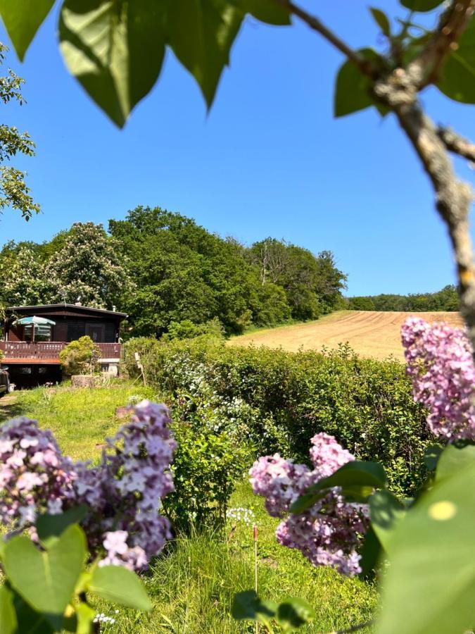 Ferienhaus Zittertal Neustadt Harz Haus I Villa Harztor Kültér fotó
